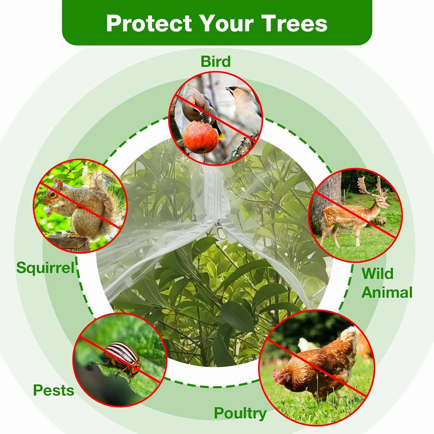 2PCS Large Fruits Tree Netting Cover with Zipper and Drawstring, Insect Bird Barrier Netting for Garden Protection, 8X8 Ft Garden Plant Mesh Netting Cover for Vegetables Tomato Blueberry Bushes