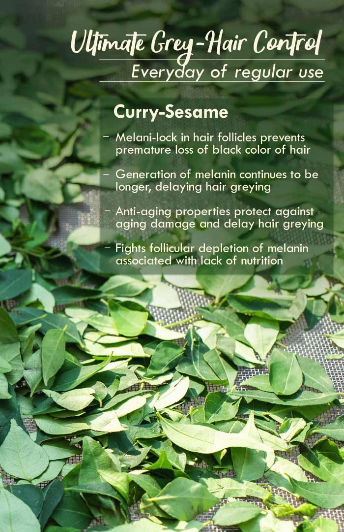 <strong>Curry Sesame Summer Hair Oil</strong> <br><i>Grey-Hair Control</i>