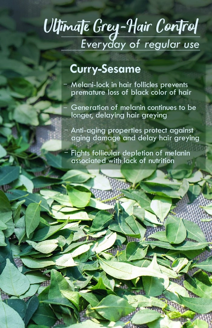 <strong>Curry Sesame Winter Hair Oil</strong> <br><i>Grey-Hair Control</i>