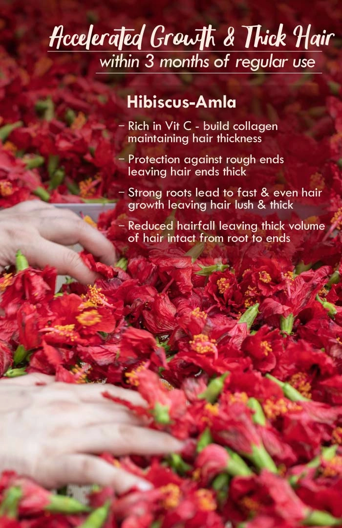 <strong>Hibiscus Amla Summer Hair Oil</strong> <br><i>Accelerated Hair Growth</i>