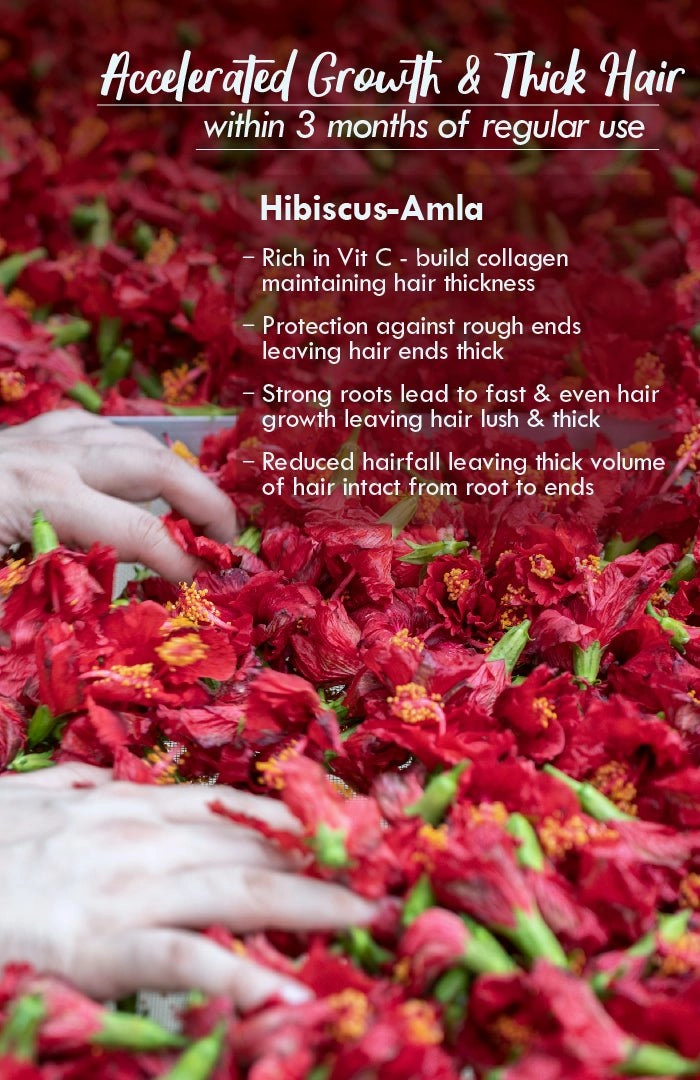 <strong>Hibiscus Amla Winter Hair Oil</strong> <br><i>Accelerated Hair Growth</i>
