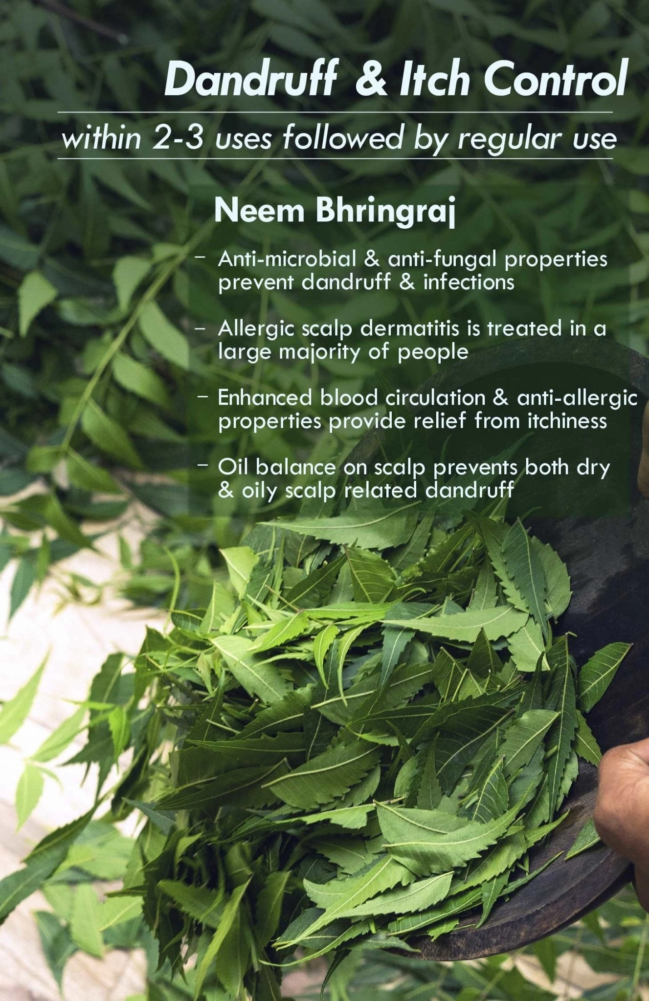 <strong>Neem Bhringraj Monsoon Hair Oil</strong> <br><i>Anti-Dandruff Blend</i>