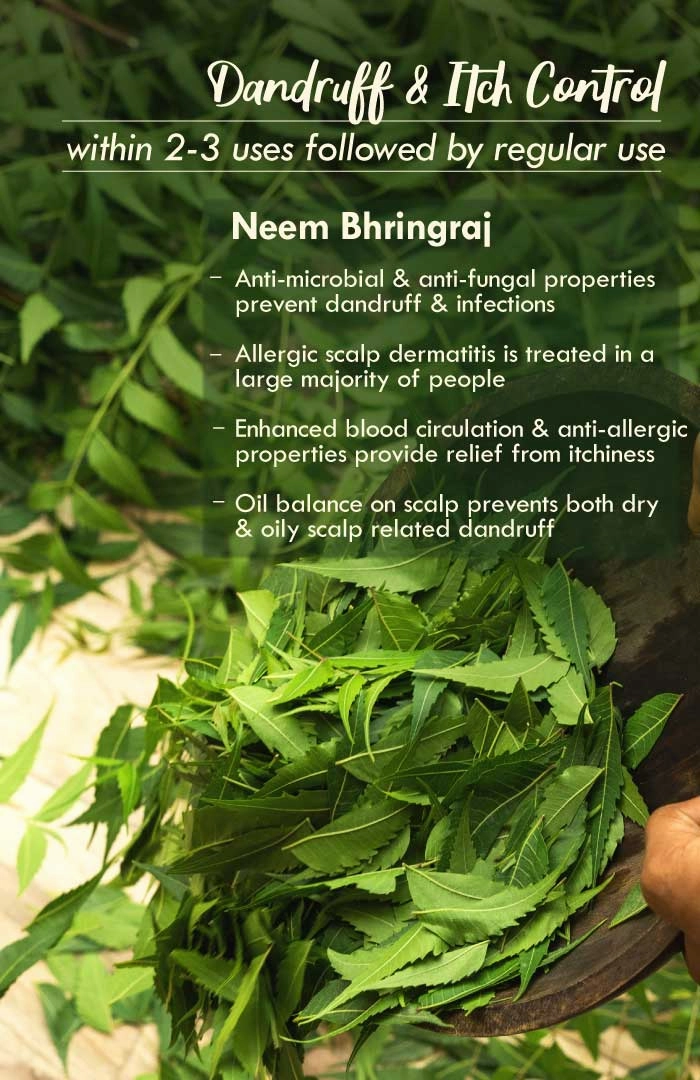 <strong>Neem Bhringraj Summer Hair Oil</strong> <br><i>Anti-Dandruff Blend</i>