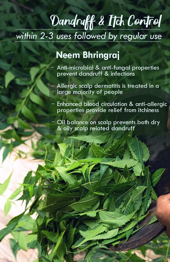 <strong>Neem Bhringraj Winter Hair Oil</strong> <br><i>Anti-Dandruff Blend</i>