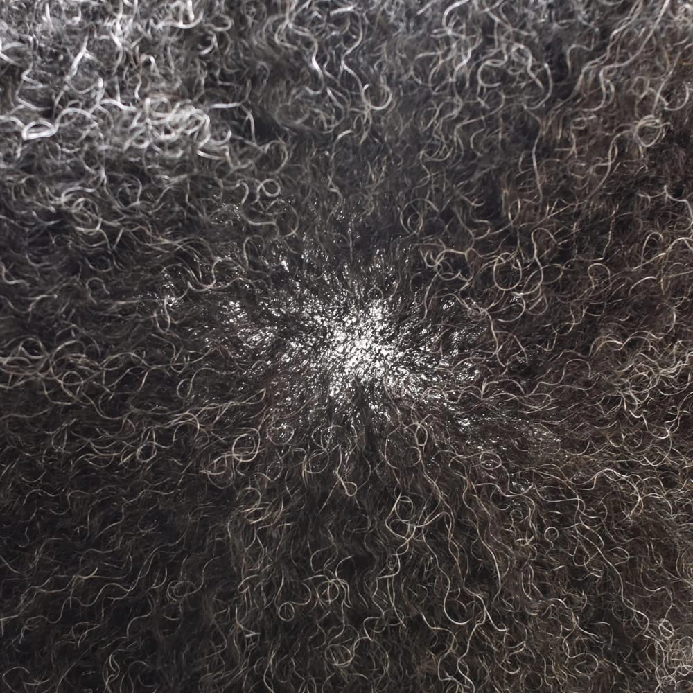 Afro Curl Toupee for Black Men Human Hair Swiss Lace Gray Hair Units for Black Men Hair System Bleached Knot Natural Hairline African American Hairpiece #110#1B JET BLACK 10% GREY 8X10-6MM Afro Wave