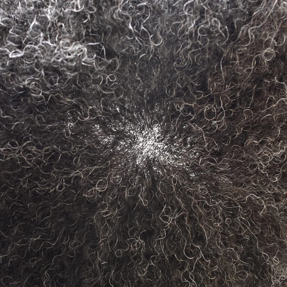 Afro Curl Toupee for Black Men Human Hair Swiss Lace Gray Hair Units for Black Men Hair System Bleached Knot Natural Hairline African American Hairpiece #120#1B JET BLACK 20% GREY 8X10-6MM Afro Wave