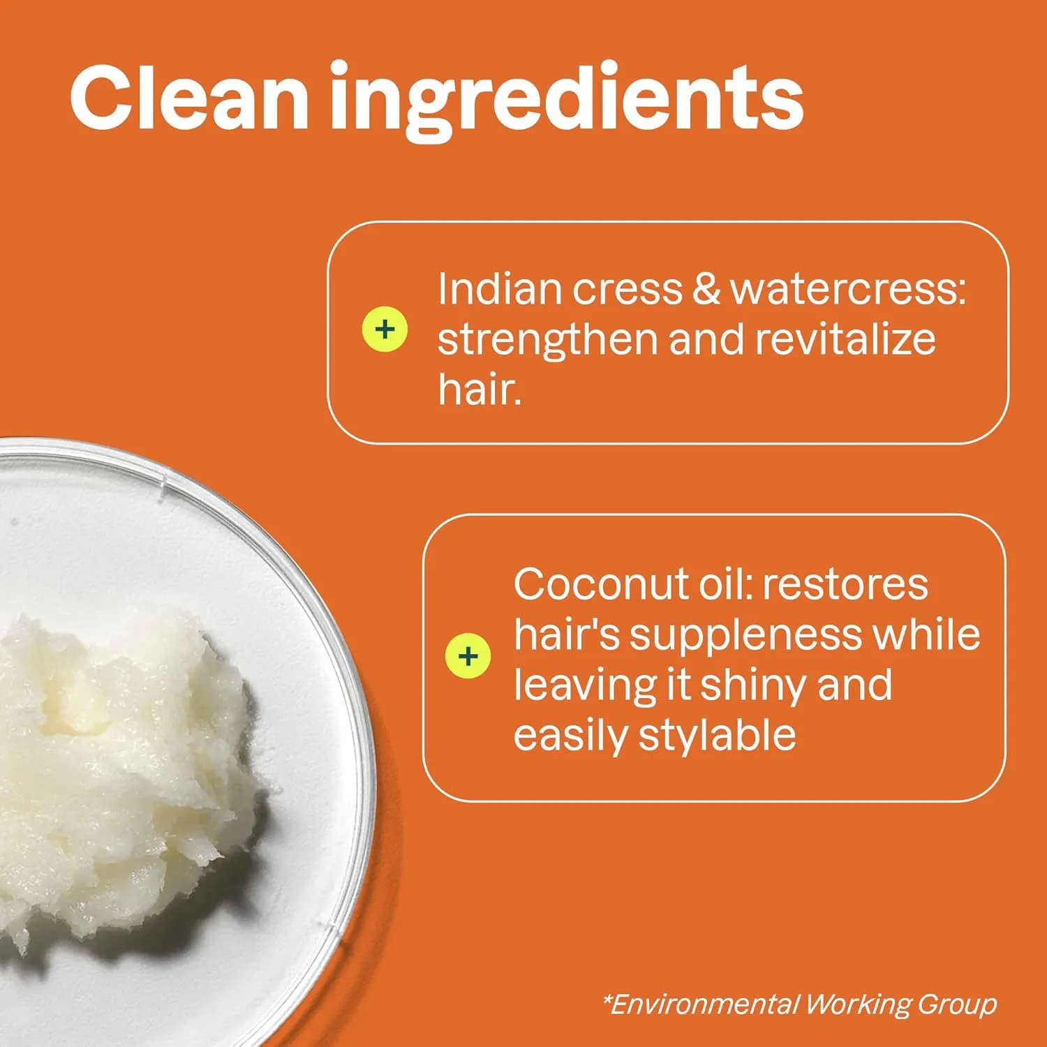 ATTITUDE Amplifying Conditioner for Curly Hair with Coconut Oil, Vegan Detangler and Naturally Derived Ingredients, 2a, 2b, 2c Curl Type, Gives body to Curls, 16 Fl Oz