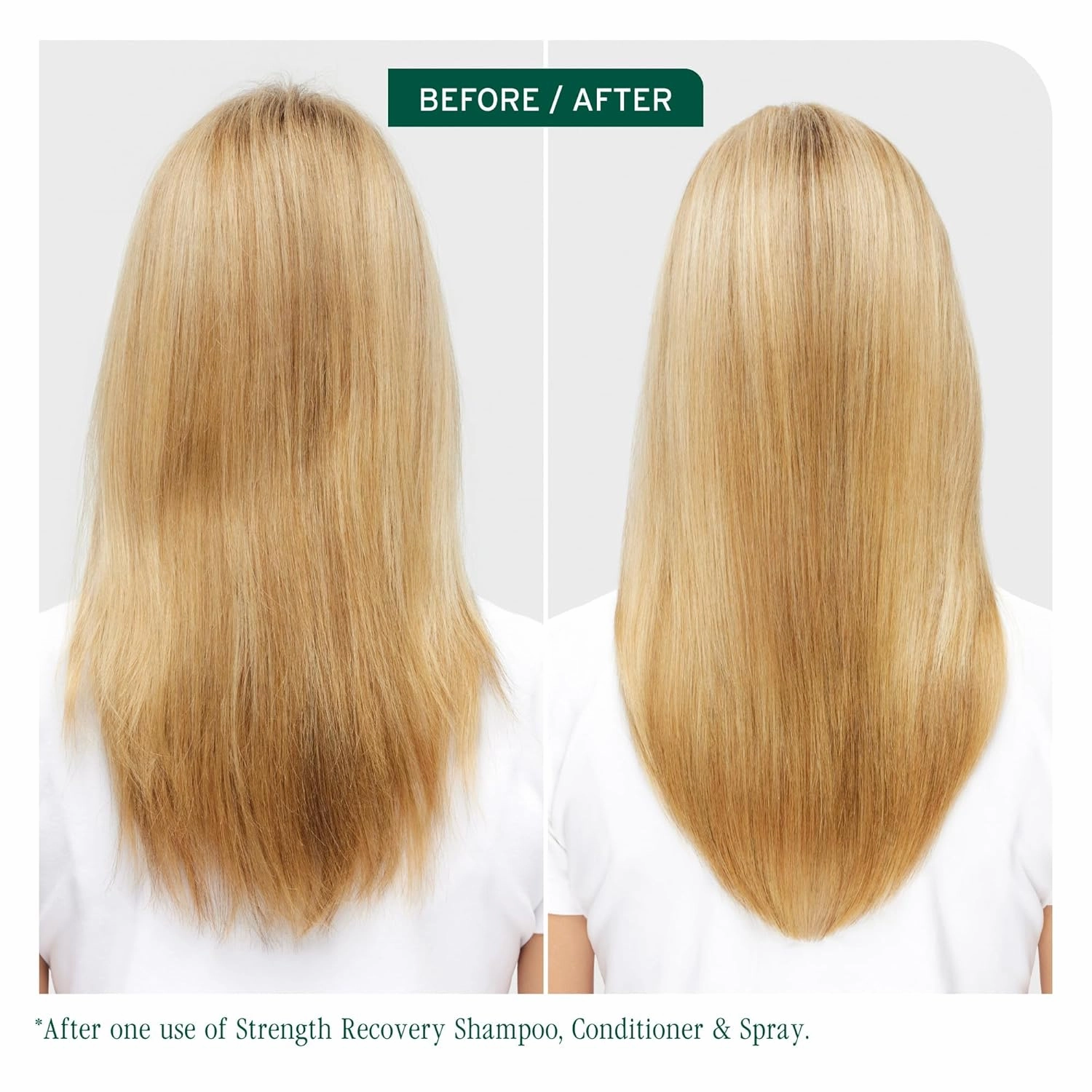 Biolage Strength Recovery Leave-In Conditioner Spray
