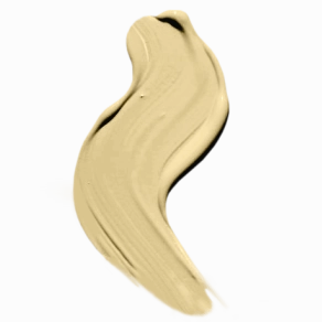 Blush Makeup Cosmetics Flawless Finish Liquid Foundation