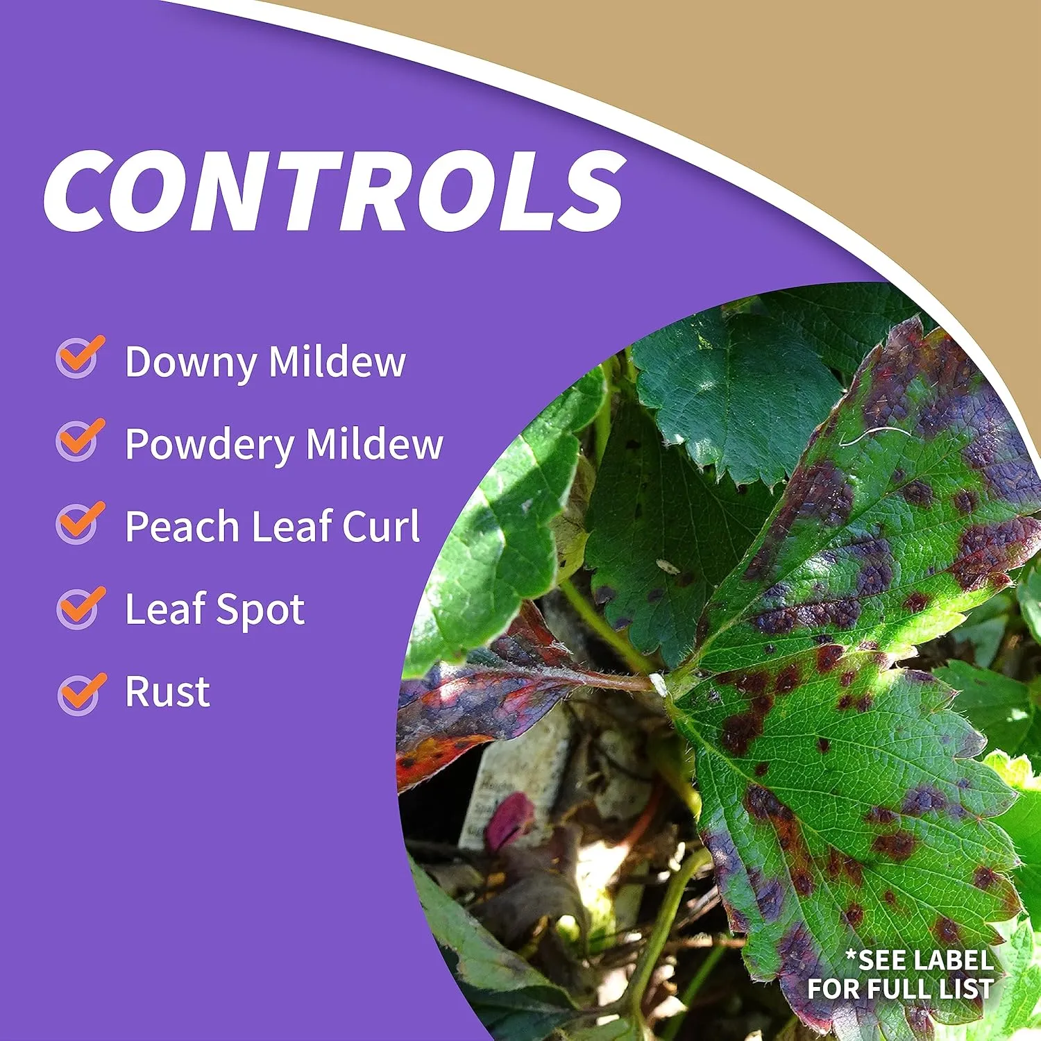 Bonide Captain Jack's Copper Fungicide, 32 oz Ready-to-Spray Disease Control Solution for Organic Gardening, Controls Leaf Curl