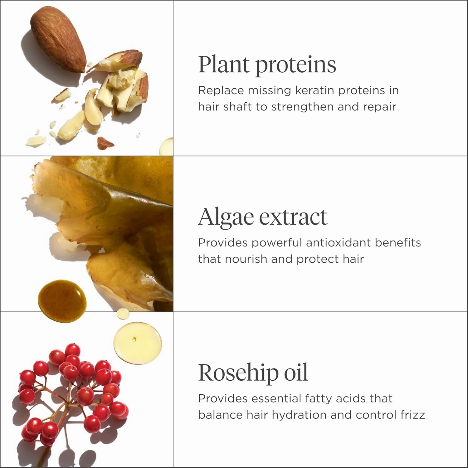 Briogeo Don't Despair, Repair! Super Moisture Conditioner, for Dry, Damaged Hair, Hair Moisturizer featuring Argan Oil, Vegan, Cruelty-Free