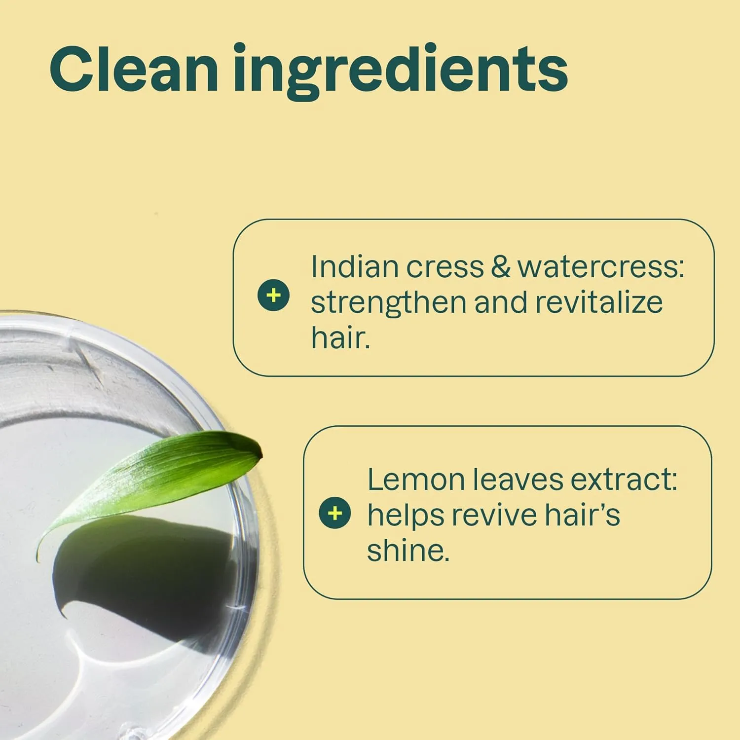 Bundle of ATTITUDE Clarifying Hair Shampoo and Conditioner, EWG Verified, Dermatologically Tested, Plant- and Mineral-Based, Vegan Beauty Products, Lemon Leaves and White Tea, 16 Fl Oz