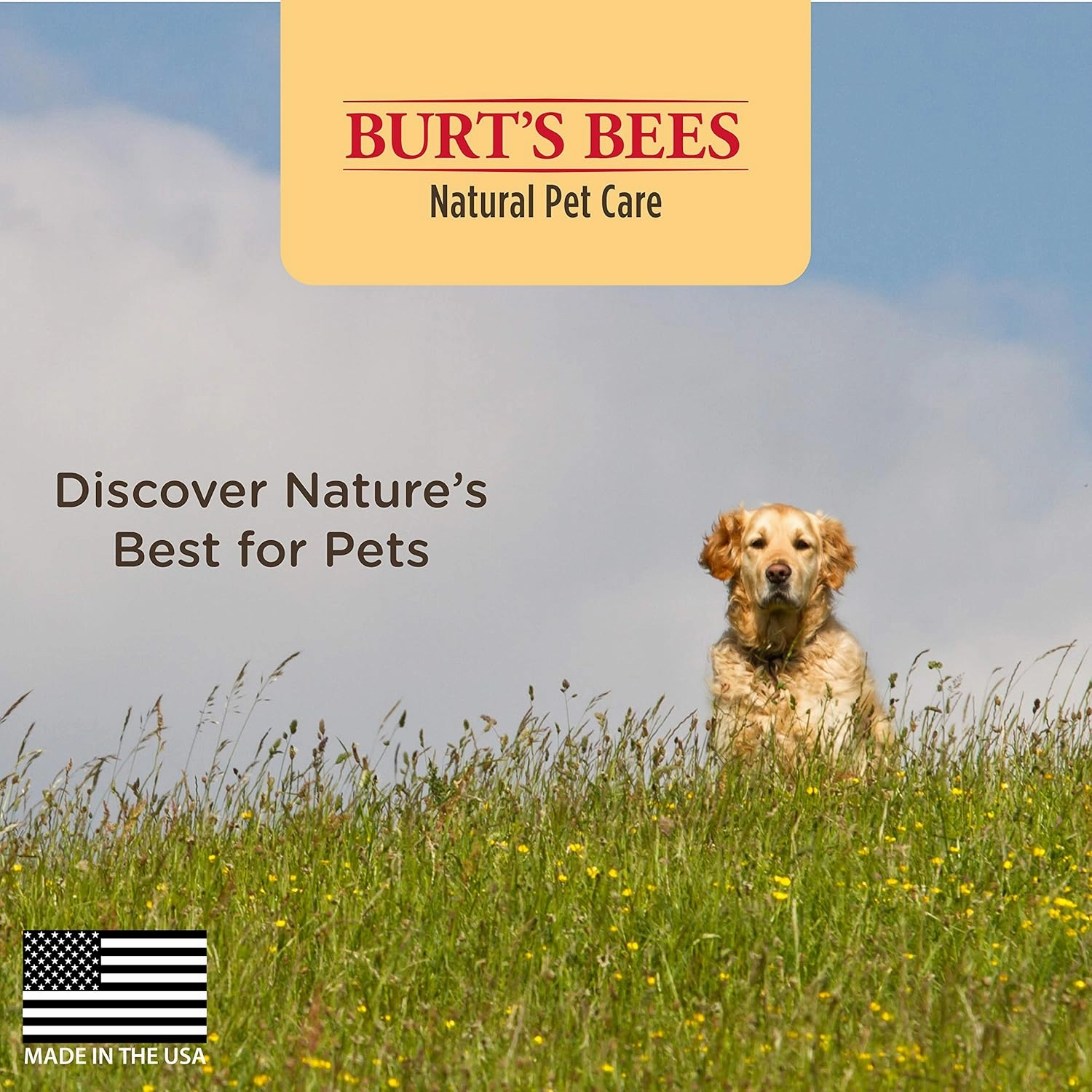 Burt's Bees for Pets Multipurpose Dog Wipes with with Honey, 3pk, 98% Natural Origin Formulas, Hypoallergenic Dog Wipes Cleaning, Dog Cleaning Wipes, Dog Wipes for Paws and Butt, epk50ct