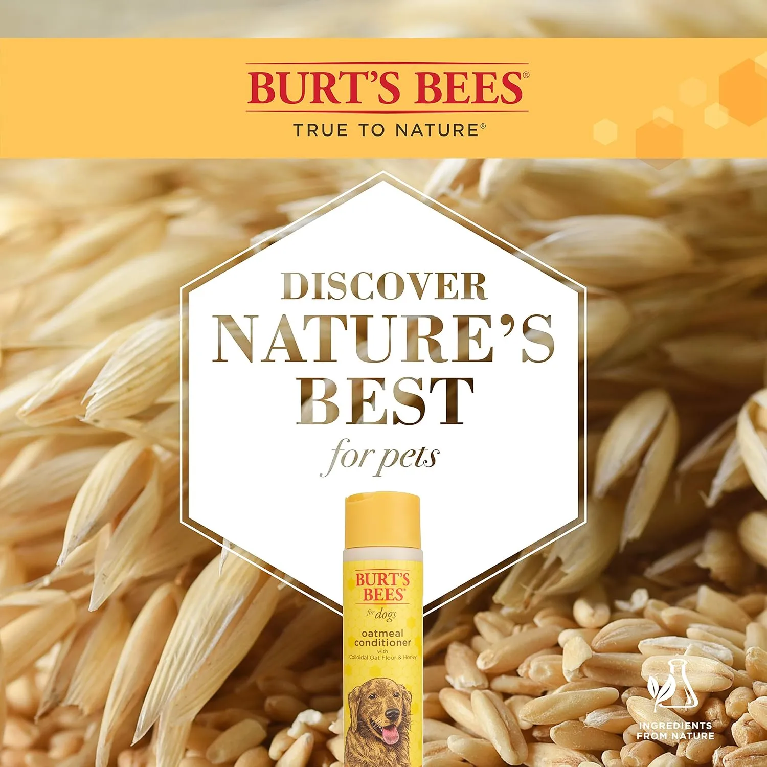 Burt's Bees for Pets Oatmeal Dog Conditioner with Colloidal Oat Flour and Honey, 95% Natural Origin Formulas, Gentle Canine Conditioning for Itchy Dogs, 6pk, 10 oz