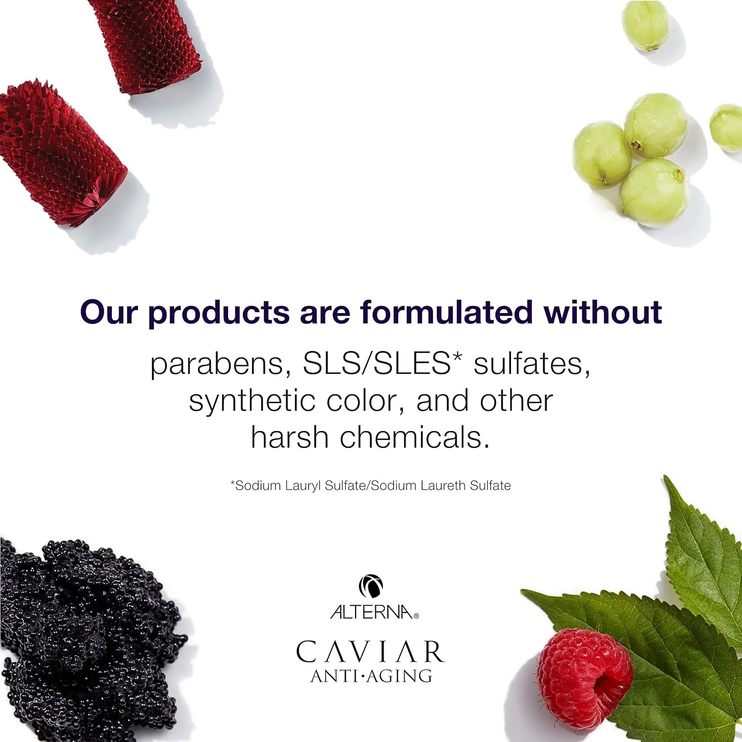 CAVIAR Anti-Aging Infinite Color Hold Conditioner | For Color Treated Hair | Minimizes Color Fade | Sulfate Free