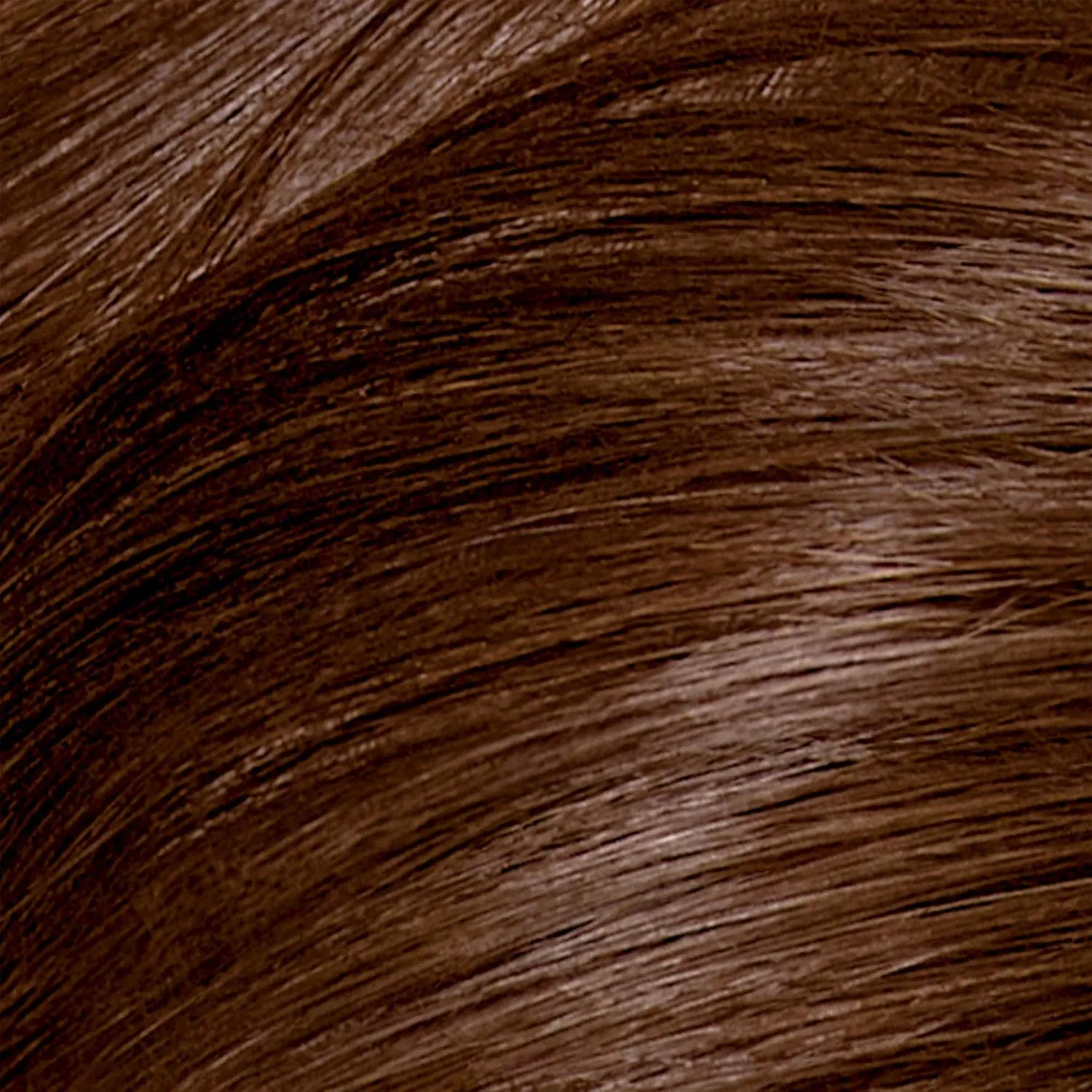 Clairol Nice'n Easy Perfect 10 Permanent Hair Dye, 6WN Light Chocolate Brown Hair Color, Pack of 2