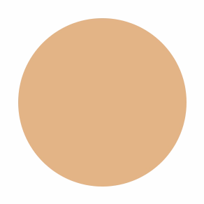 Flawless Finish Foundation