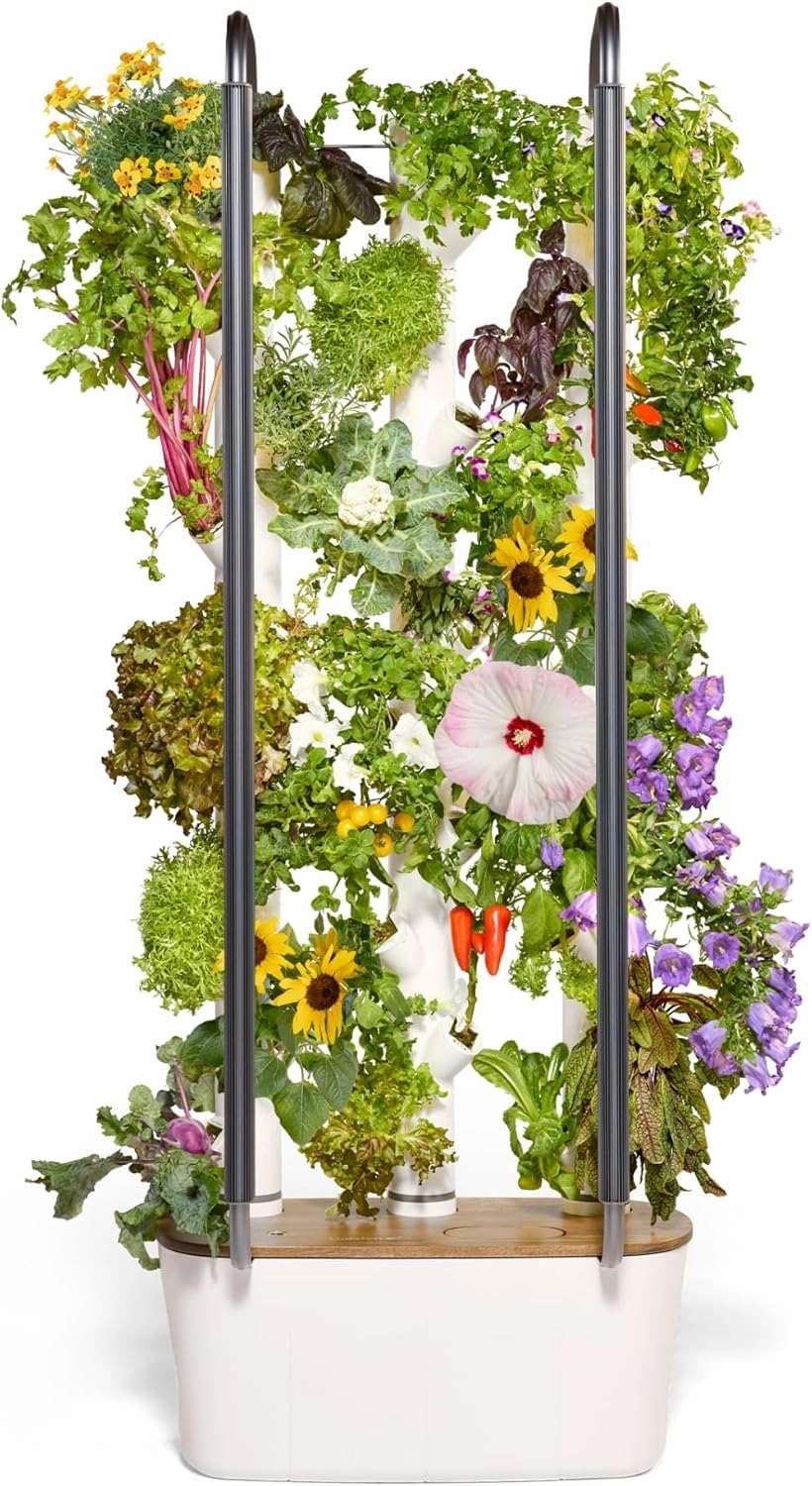Gardyn 4.0 Hydroponics Growing System Kit & Vertical Garden Planter, 30 Non-GMO Indoor Plants Smart Garden, Herbs, Vegetables & LED Grow Lights for Indoor Gardening System - Gifts for Dad