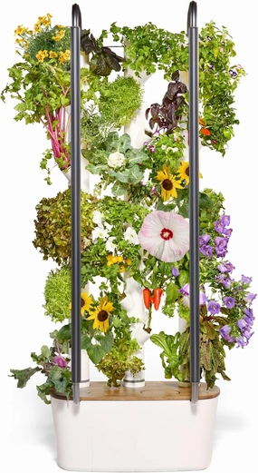 Gardyn 4.0 Hydroponics Growing System Kit & Vertical Garden Planter, 30 Non-GMO Indoor Plants Smart Garden, Herbs, Vegetables & LED Grow Lights for Indoor Gardening System - Gifts for Dad
