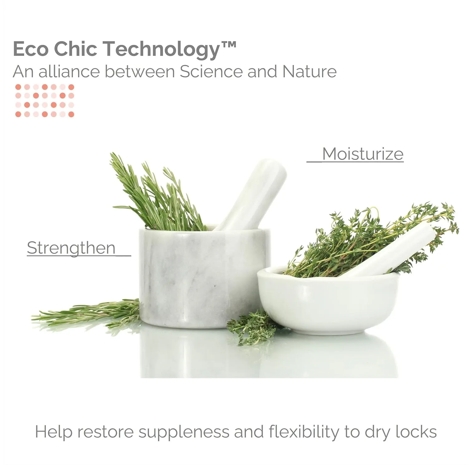 GIOVANNI ECO CHIC 50:50 Balanced Hydrating-Calming Conditioner - Leaves Hair pH Balanced for Over-Processed, Lauryl & Laureth, Sulfate Free, No Parabens, Color Safe - 128 oz