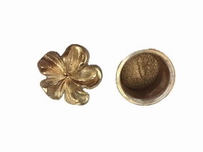 Gold Highlighter Dust 2 grams Powder