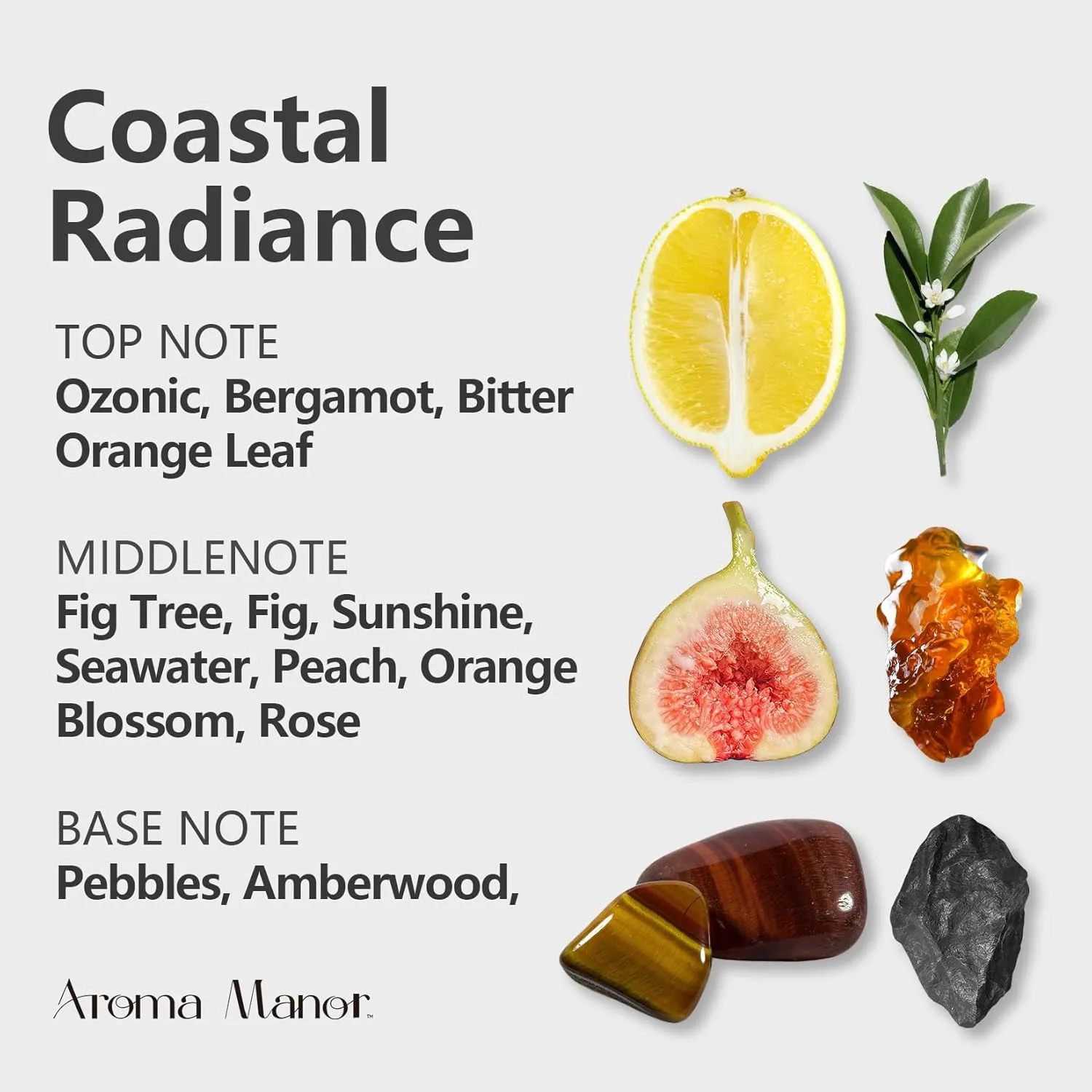 Hotel Scents - Coastal Radiance Essential Oil for Diffuser - Inspired by The Aria Asian Garden Scent Aromatherapy Diffuser Oil (150mL) - Bergamot, Bitter Orange, Fig, Sunshine, Sea, Orange Blossom