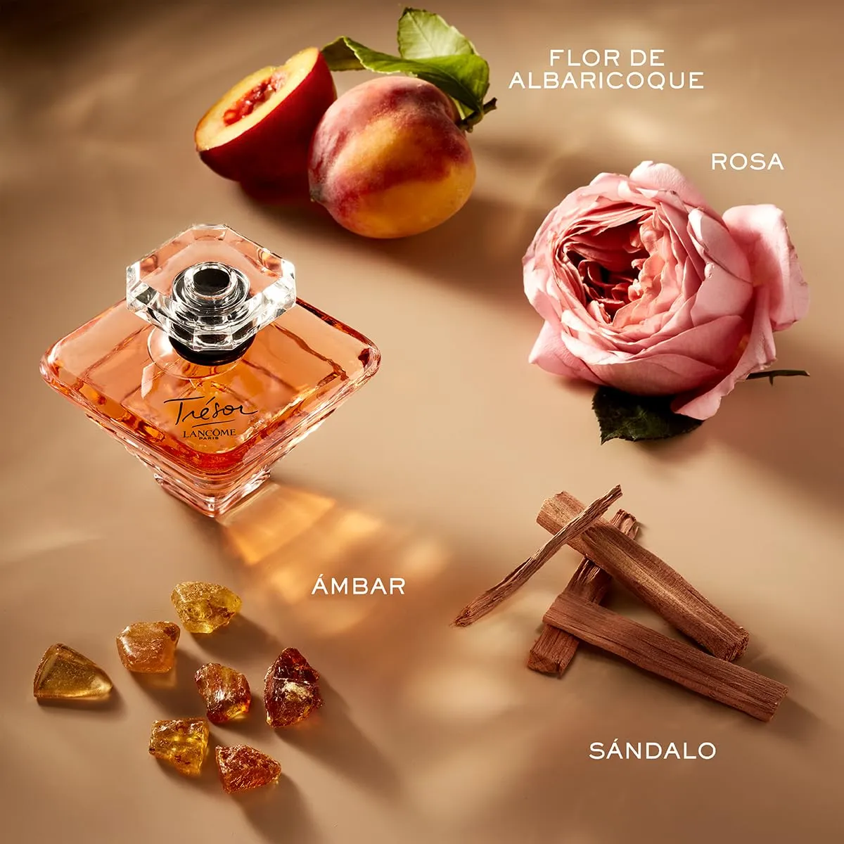 Lancôme Trésor Eau de Parfum - Long Lasting Fragrance with Notes of Rose, Lilac, Peach & Apricot Blossom - Elegant & Romantic Women's Perfume