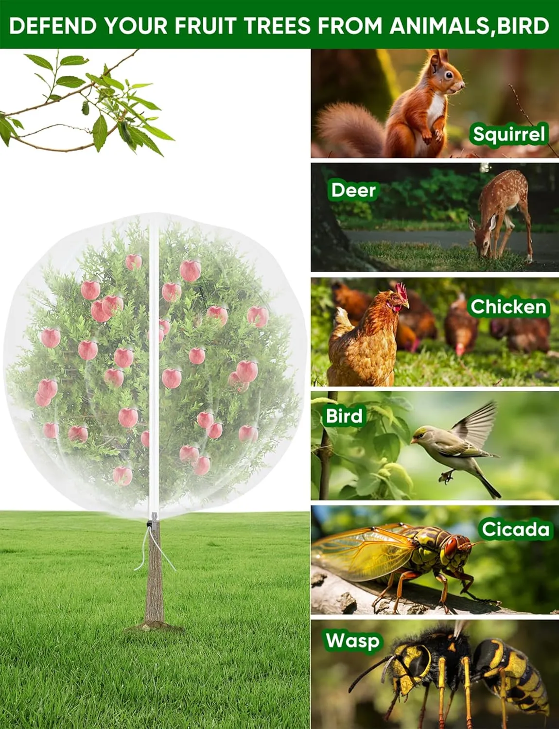 Large Fruit Trees Netting Zipper - 2Pcs 10X10 FT with Drawstring Bird-Proof,Durable Mesh Covers for Blueberry,Apple,Pear,Peach,Orange Trees&Tomato Plants Bug Insect Protection Cover (2, 10 X 10 FT)