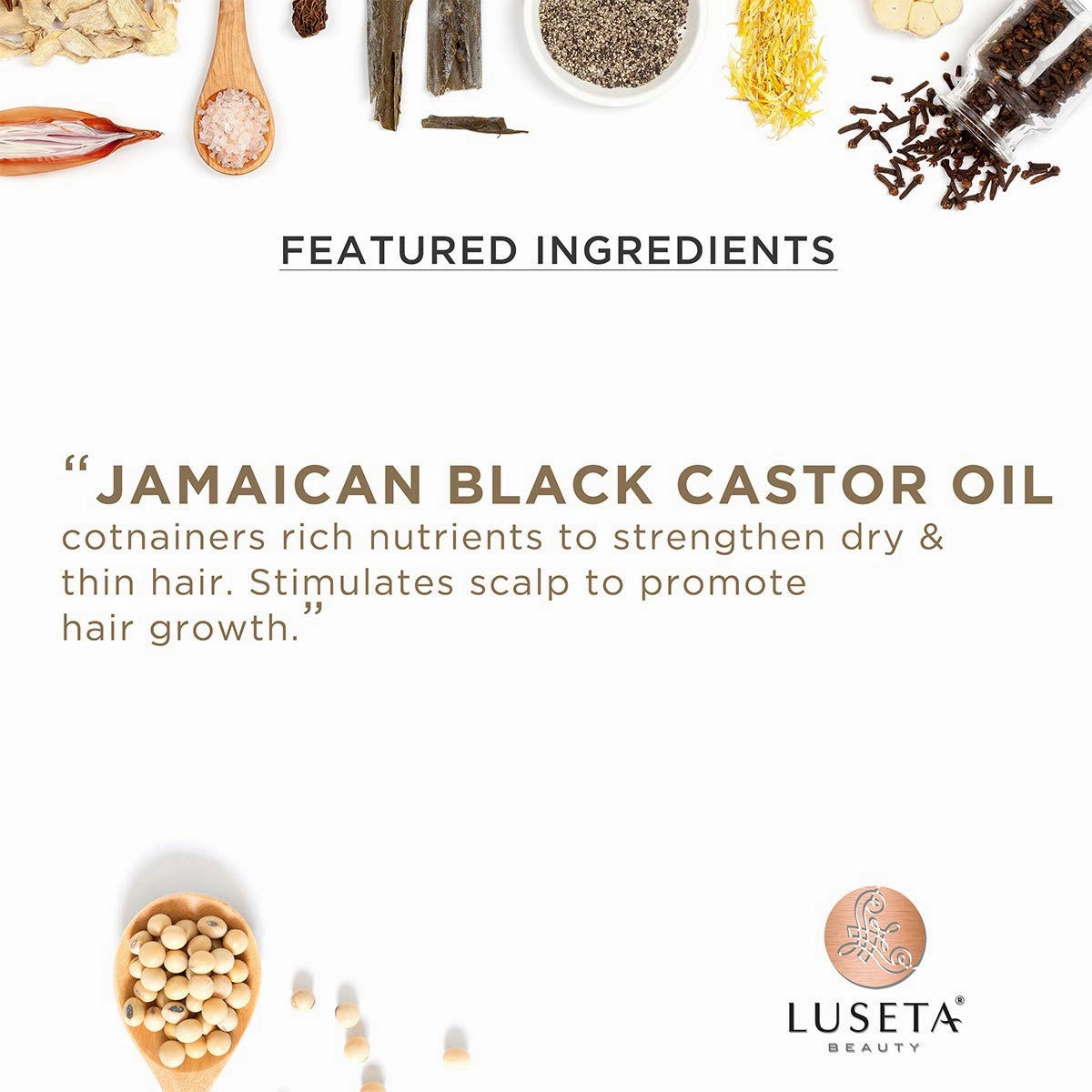 Luseta Jamaican Black Castor Oil Conditioner for Fine and Dry Hair 16.9oz