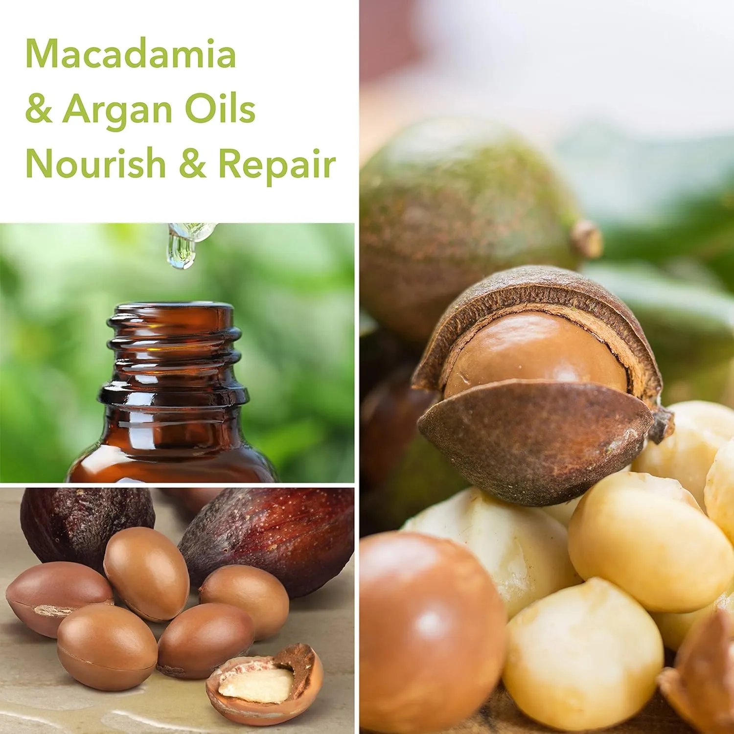 Macadamia Professional Daily Deep Conditioner, 5 Fl oz (Pack of 2)