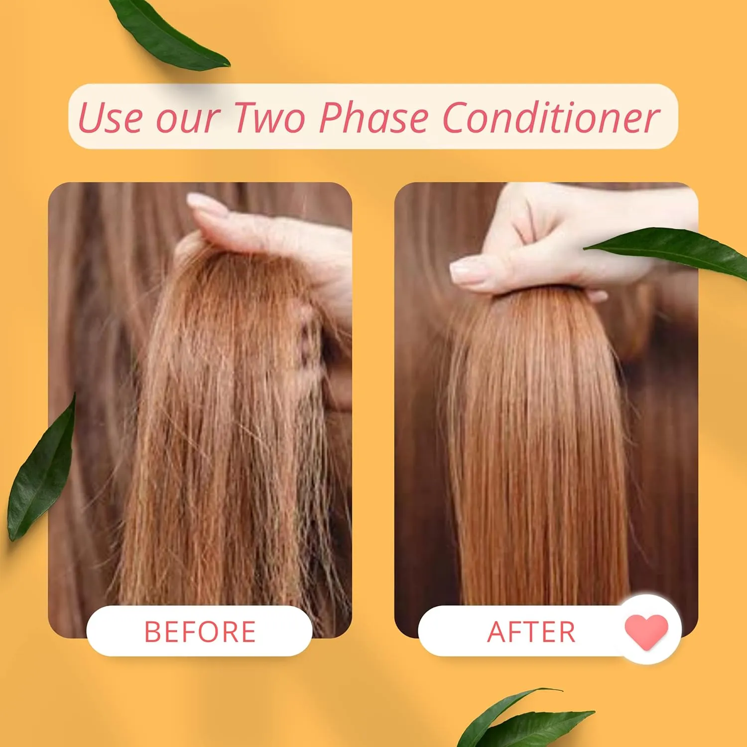 Morfose Professional Two Phase Leave-in Conditioner for Dry, Damaged, or Brittle Strands, Repairs and Protects, Damage, and Split Ends, 13.52 Fl. Oz (Biotin)