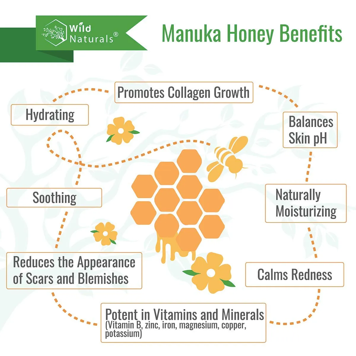 Natural Manuka Honey Eczema & Psoriasis Conditioner - Soothing Moisturizer for Scalp - Sulfate-Free Dandruff Relief with Aloe Vera - Ideal for Oily Hair - Nourishes Hair Growth with Coconut Oil