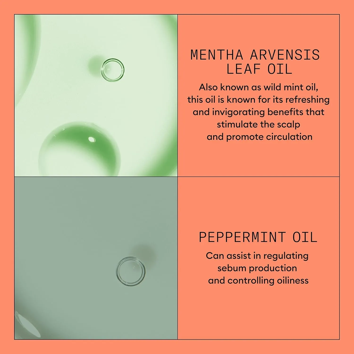 Nioxin System 4 Scalp   Hair Thickening Conditioner For Colored, Dry, & Damaged Hair with Progressed Thinning Maintain Vibrant Color Nourish & Boost Hair Density with Niacinamide & Biotin