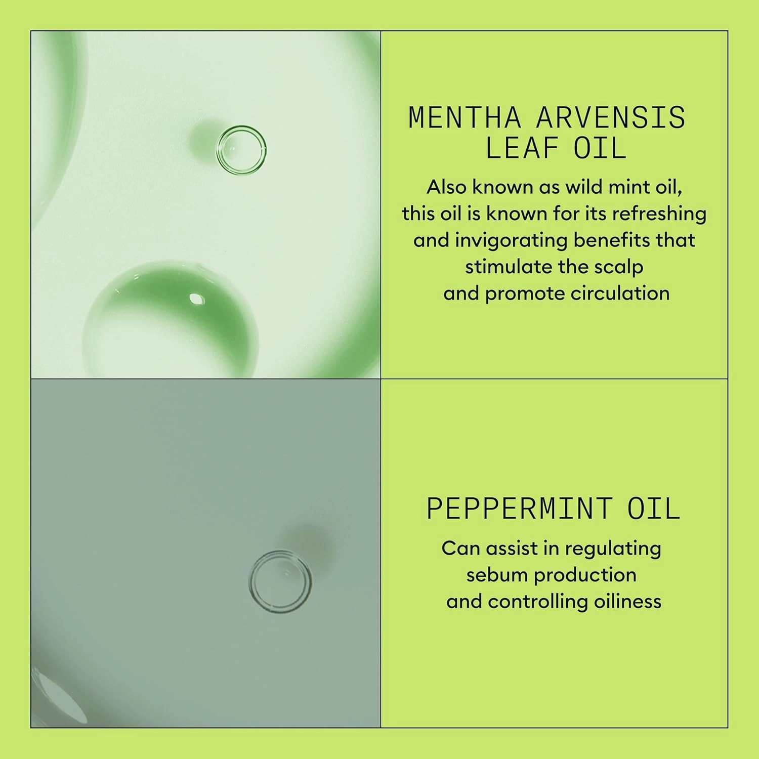 Nioxin System 2 Scalp   Hair Thickening Conditioner for Natural Hair with Progressed Thinning | Boost Hair Density with Niacinamide & Biotin | Refreshed Scalp with Healthy Shine