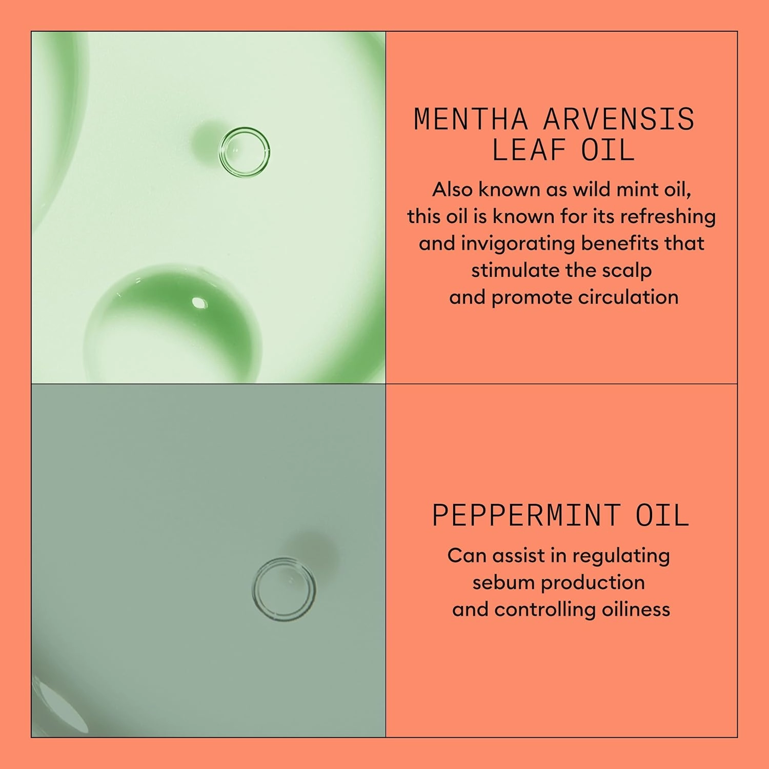 Nioxin System 4 Scalp   Hair Thickening Conditioner For Colored, Dry, & Damaged Hair with Progressed Thinning Maintain Vibrant Color Nourish & Boost Hair Density with Niacinamide & Biotin