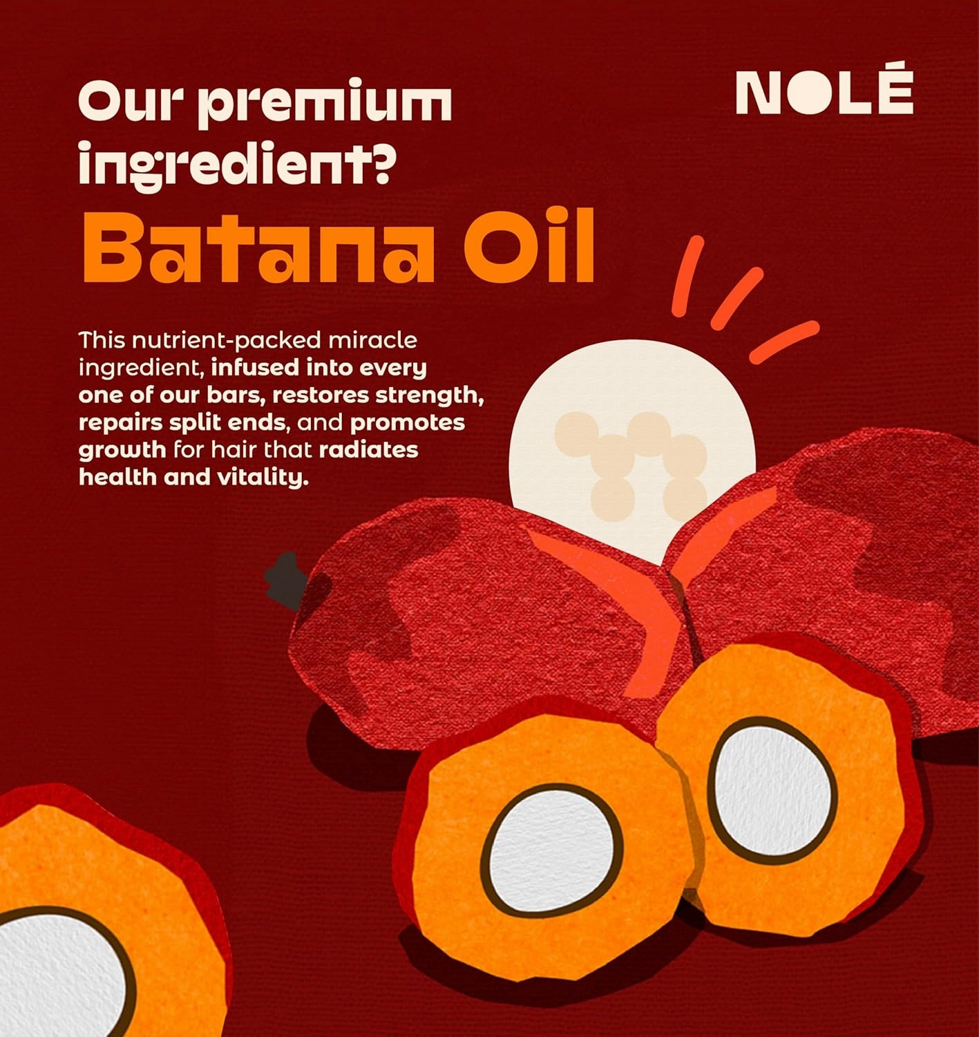 NOLE CARE Sustainable Conditioner Bar with Rosemary Min & Batana Oil, for Dry Hair, Anti Dandruff (2.12 Oz Bar) - Sustainable, PH Balanced, Rice Protein Conditioner, Plastic-Free