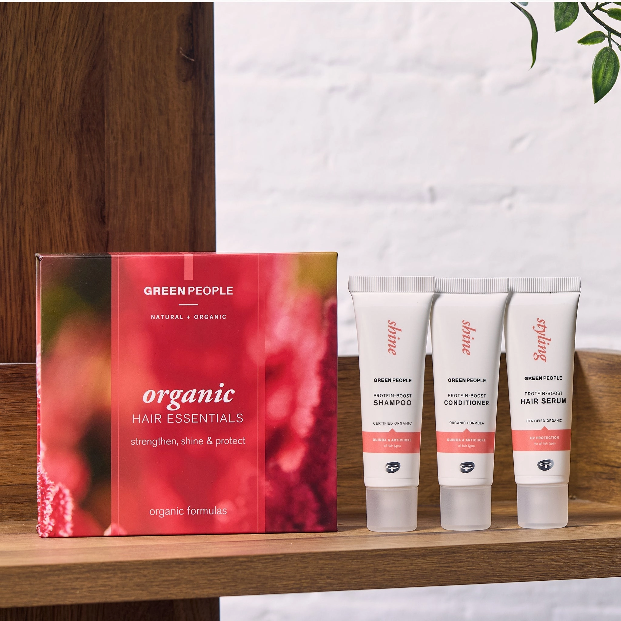 Organic Hair Essentials Set