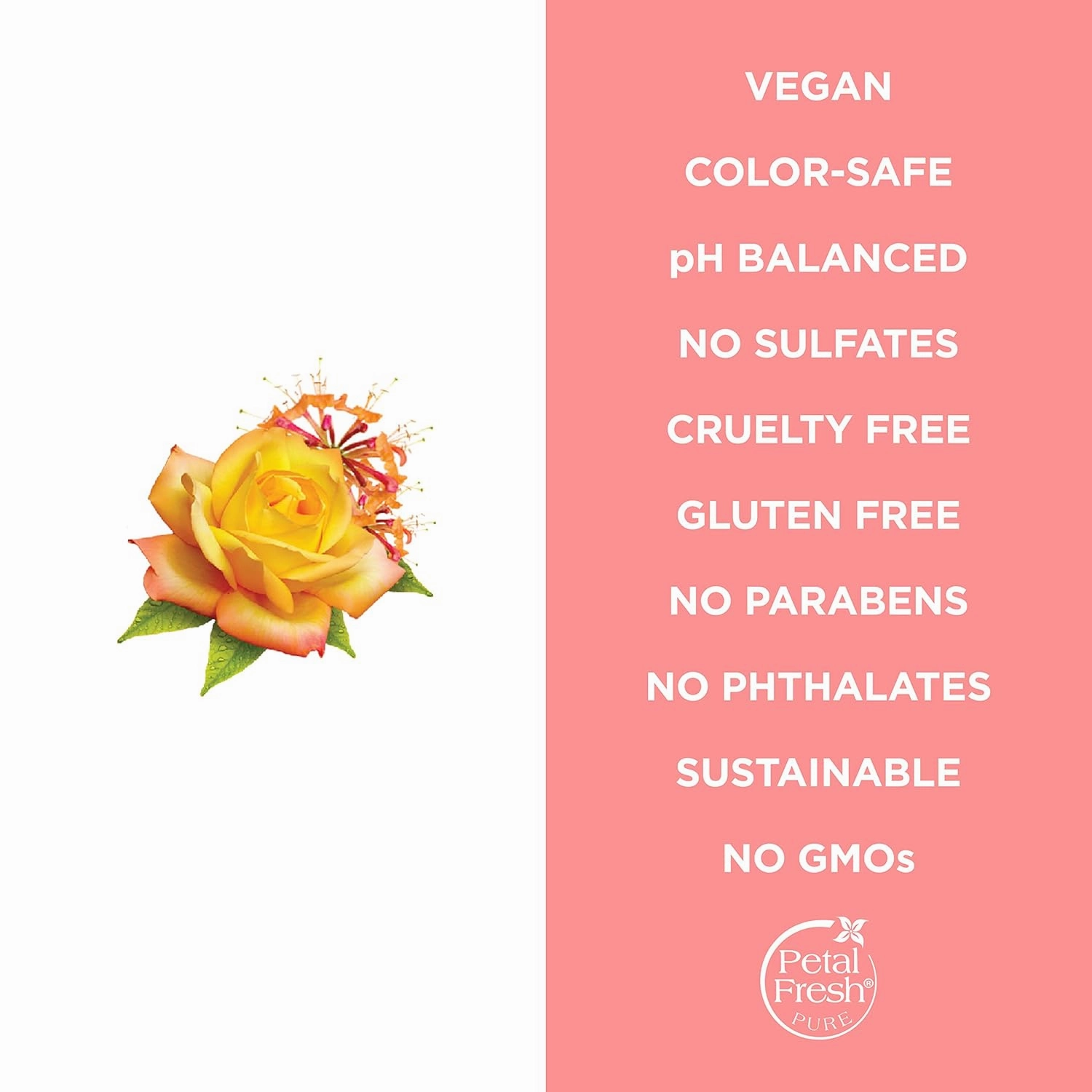 Petal Fresh Pure Softening Rose & Honeysuckle Conditioner, Provides Intense Softness, For All Hair Types, Natural Essential Oils, Vegan and Cruelty Free, 16 Fl oz