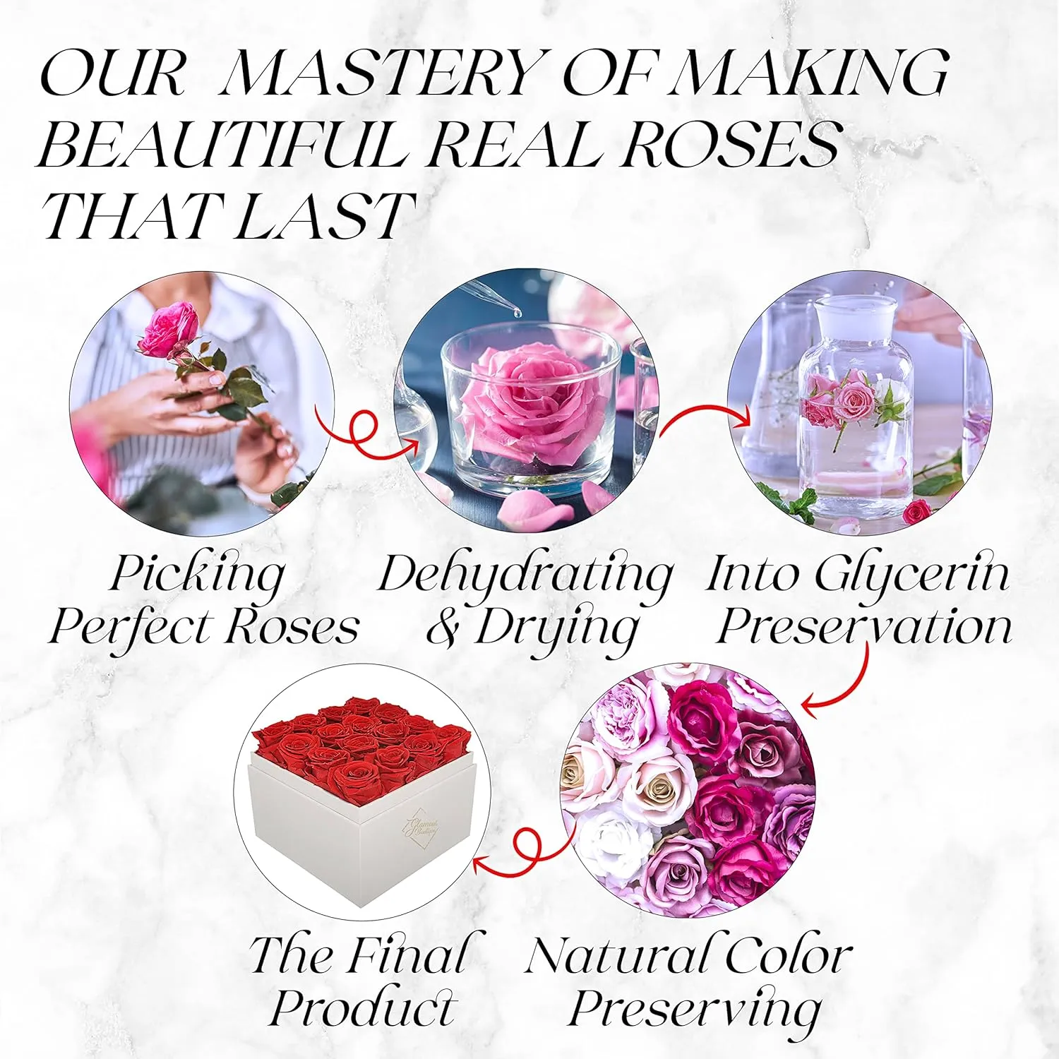 Preserved Roses in a Box - Gifts for Her, Wife & Mom, Rose Flowers Forever Decor for Birthday Gift, Get Well Flower Bouquet Cased in White Box with Cover - Red - 16-Piece