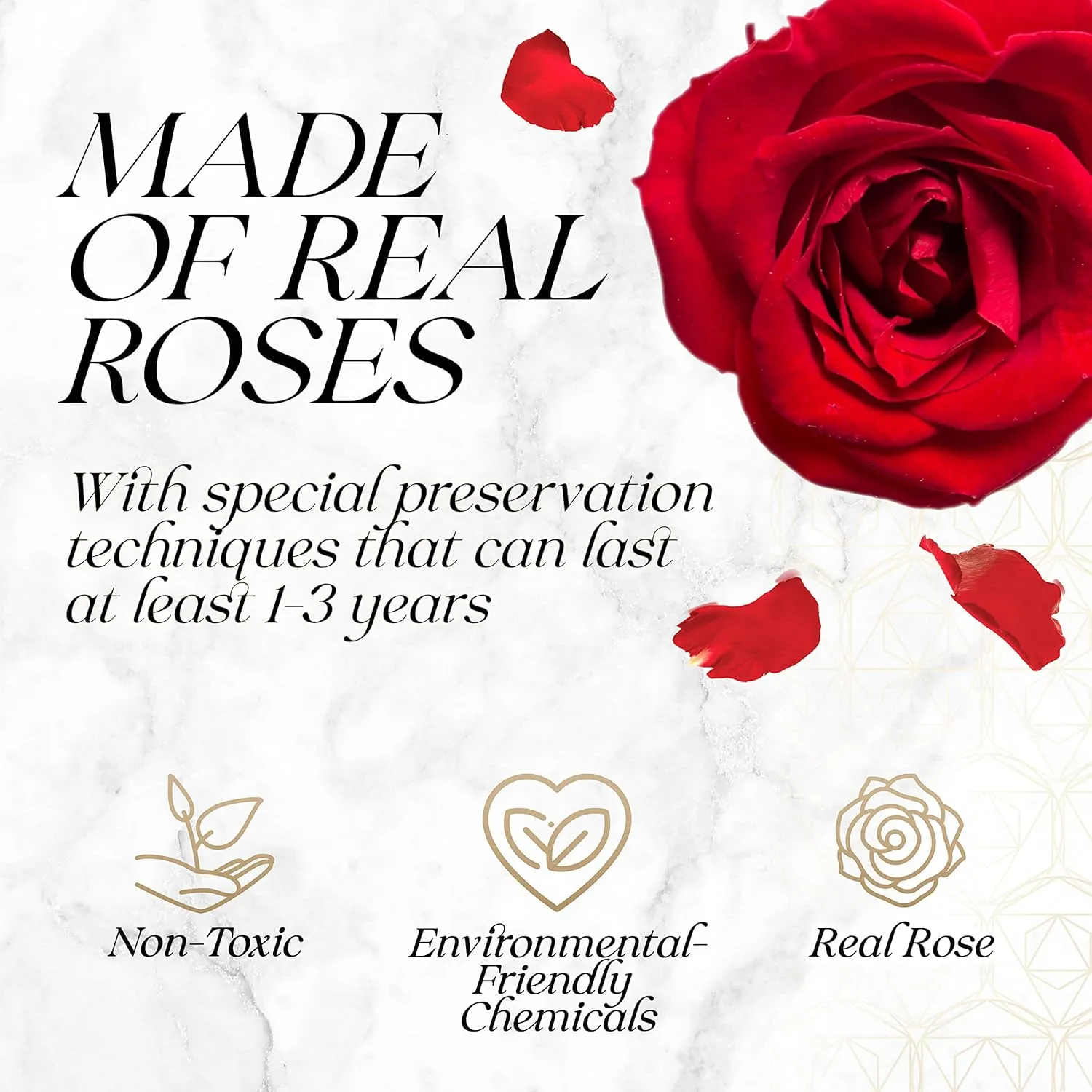 Preserved Roses in a Box - Gifts for Her, Wife & Mom, Rose Flowers Forever Decor for Birthday Gift, Get Well Flower Bouquet Cased in White Box with Cover - Red - 16-Piece