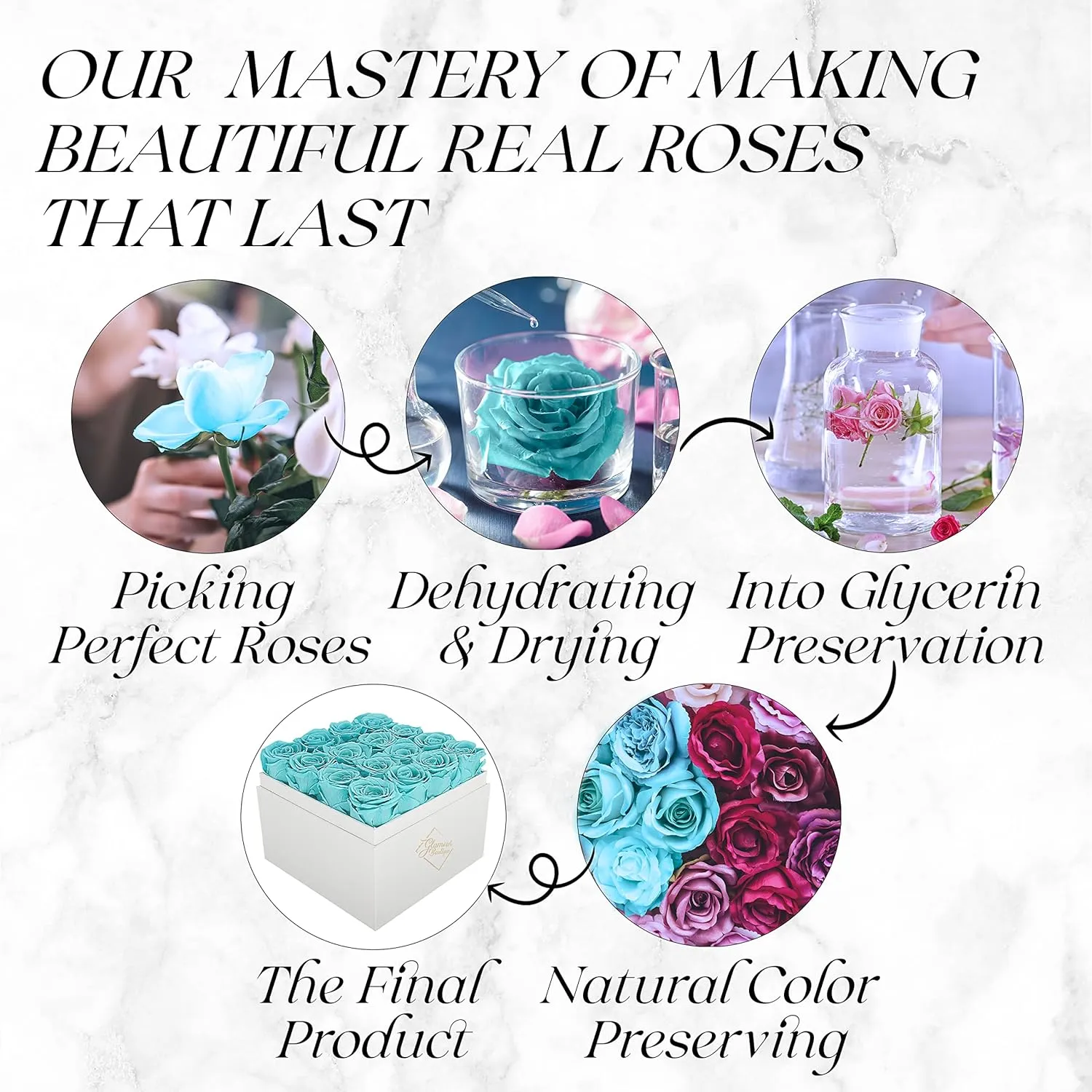 Preserved Roses in a Box - Gifts for Her, Wife & Mom, Rose Flowers Forever Decor for Birthday Gift, Get Well Flower Bouquet Cased in White Box with Cover - Tiffany - 16-Piece