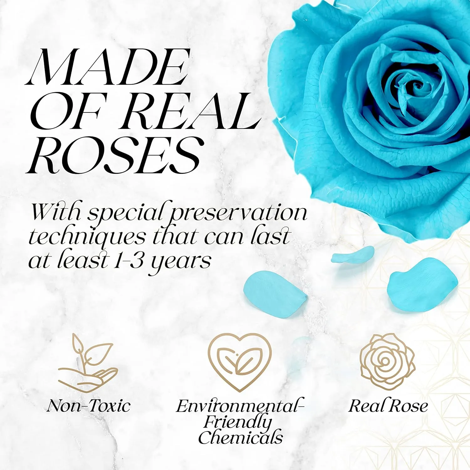 Preserved Roses in a Box - Gifts for Her, Wife & Mom, Rose Flowers Forever Decor for Birthday Gift, Get Well Flower Bouquet Cased in White Box with Cover - Tiffany - 16-Piece