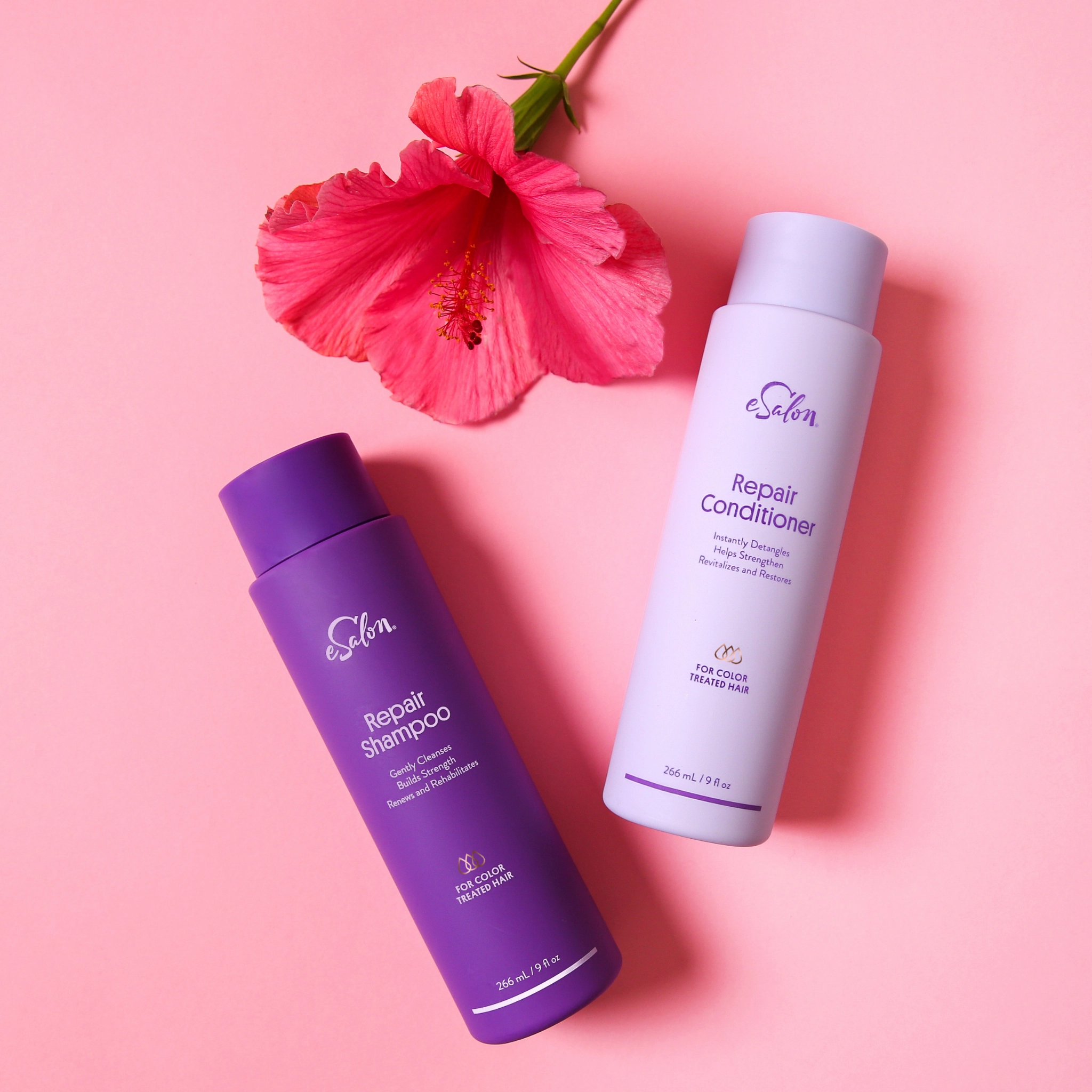 Repair Shampoo   Conditioner Duo