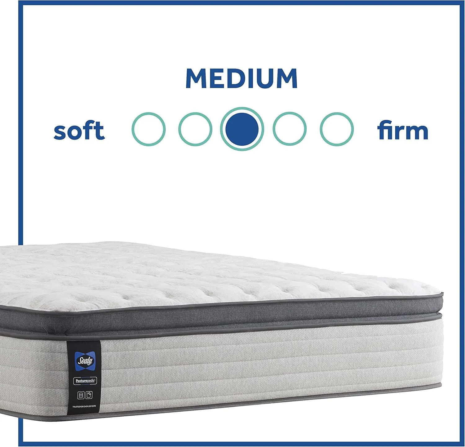 Sealy Posturepedic Spring Summer Rose Euro Pillowtop Medium Feel Mattress and 5-Inch Foundation, Full