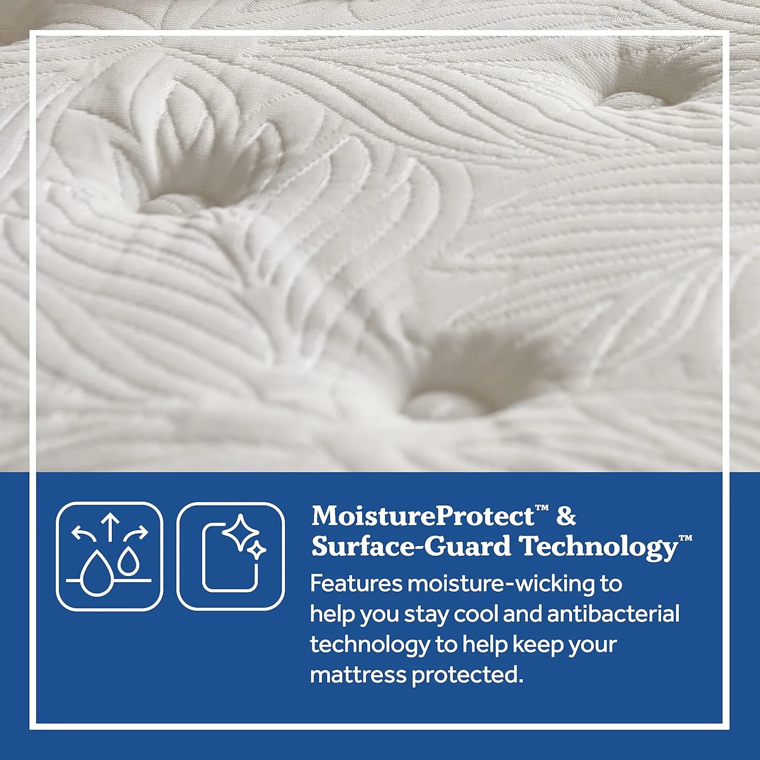 Sealy Posturepedic Spring Summer Rose Euro Pillowtop Medium Feel Mattress and 5-Inch Foundation, Full