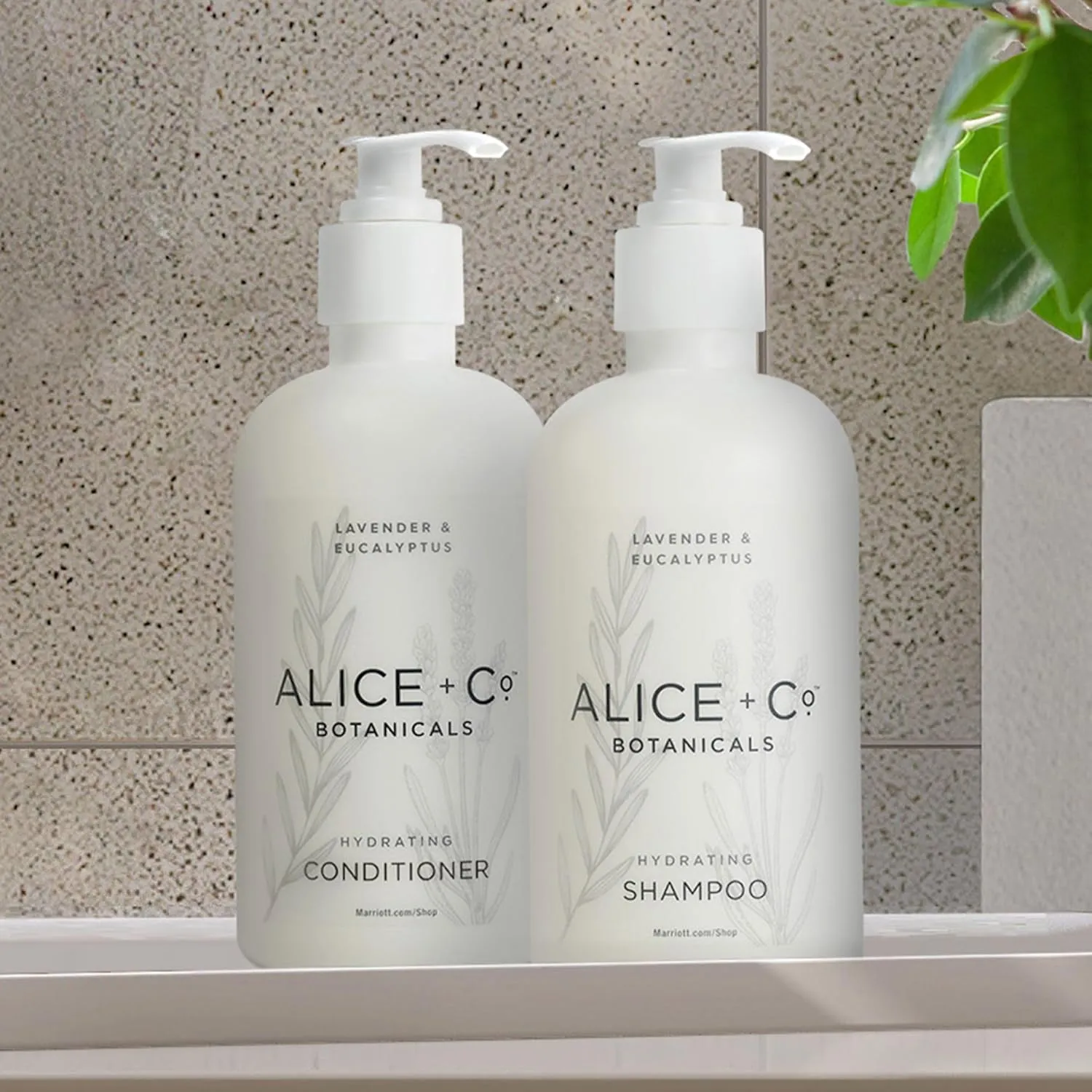 Shampoo & Conditioner - Fairfield by Marriott Hotel Bath Amenities - Lavender & Eucalyptus - 8.5 oz Bottles - Hair Care Set