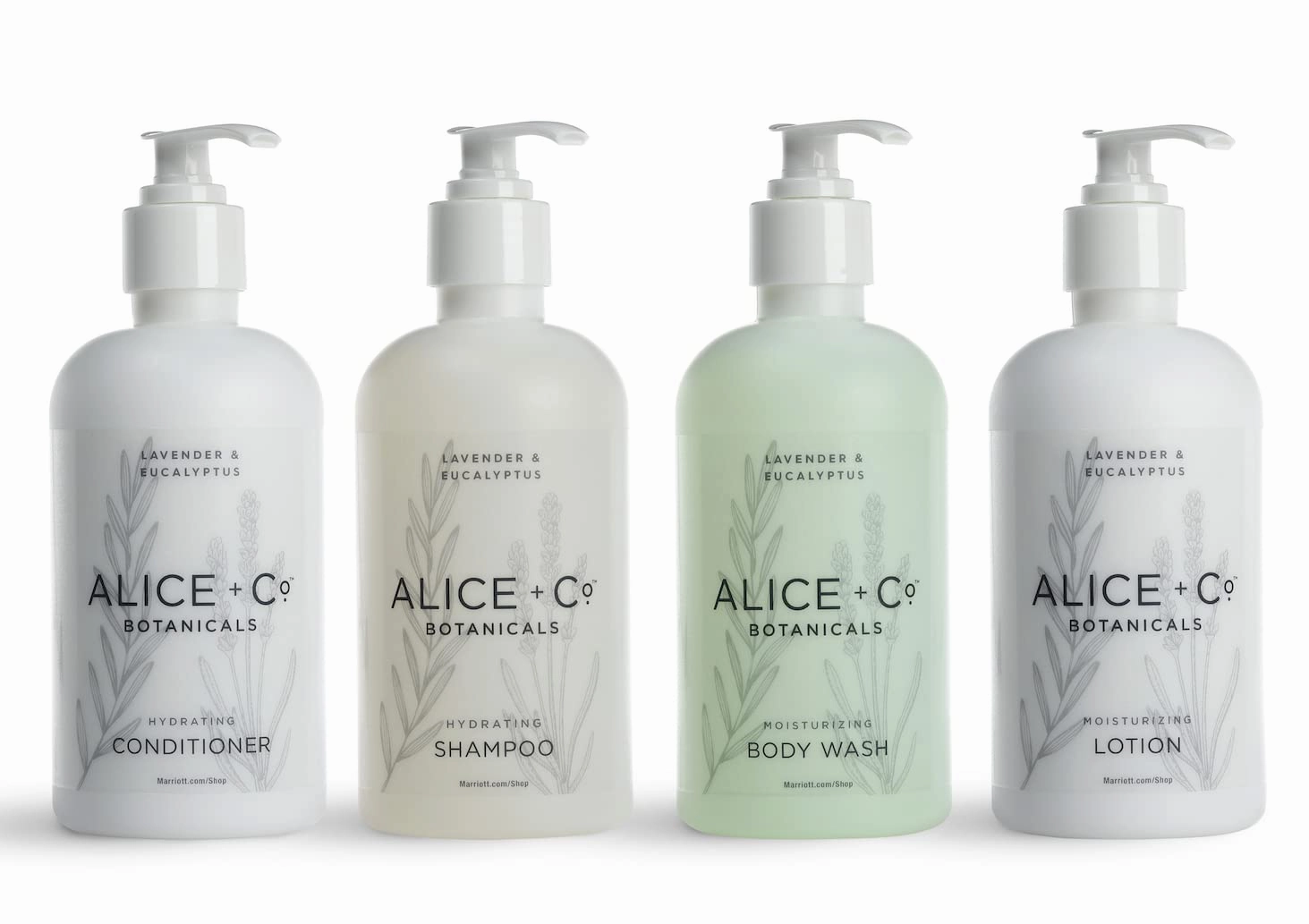 Shampoo, Conditioner, Body Wash, Lotion | Lavender & Eucalyptus | Hotel Bath Amenities | Fairfield by Marriott | 8.5 oz Bottles | Hair & Body Care Set