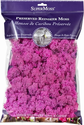 SuperMoss (23199) Reindeer Moss Preserved Bag, 8oz, Pink
