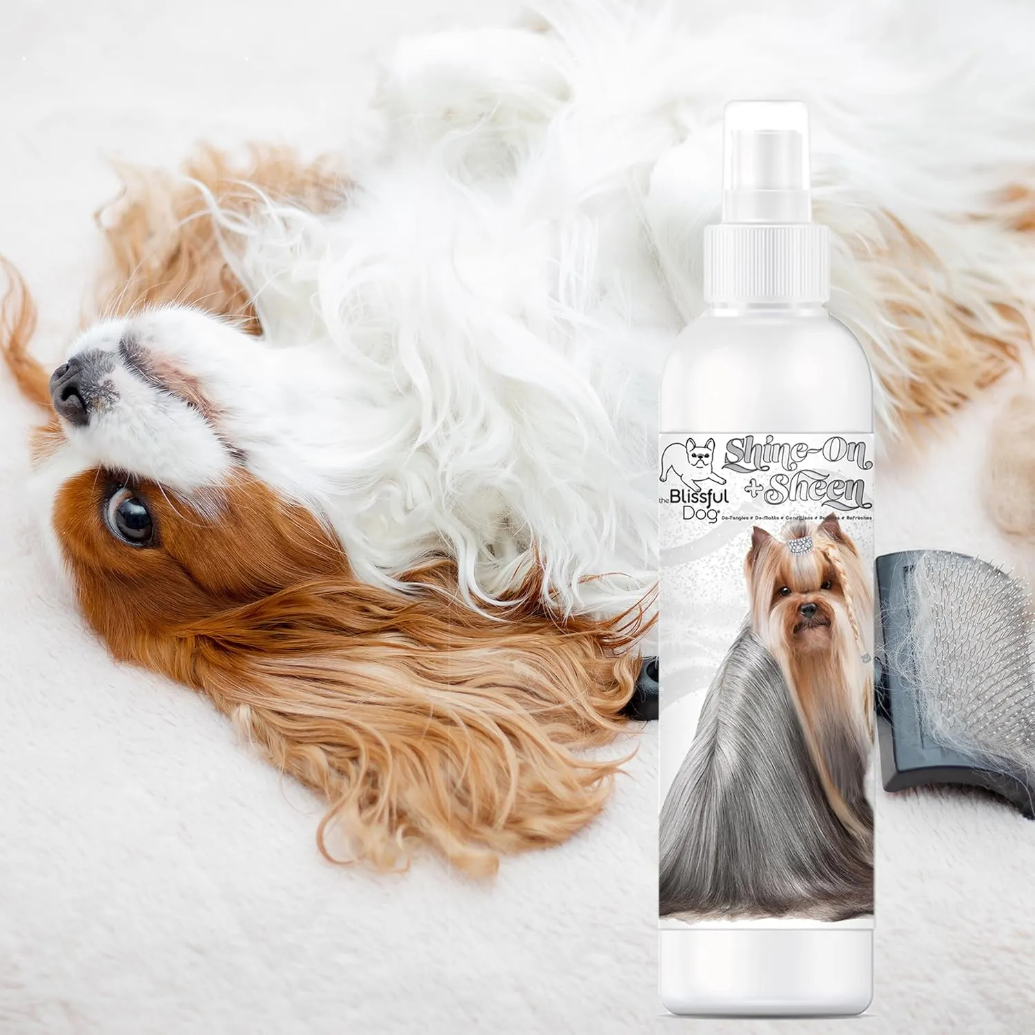 The Blissful Dog Shine-On   Sheen Coat Dog Spray, Easy-to-Use Conditioner, Sensitive Skin-Friendly Leave-in Conditioner, Detangler Spray, 8 oz.