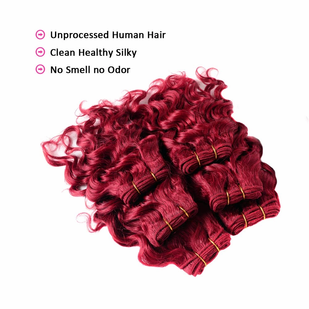VIOLET Hair Short Curly Human Hair Bundles with Closure 100% Brazilian Curly Hair Weave Full Head Wavy Bundles 8 inch Burgundy Human Hair Extension Deep Curly Weave Hair Bundles